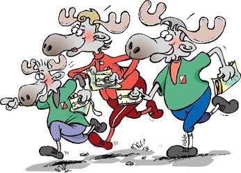 Nybegynnerkurs og trening